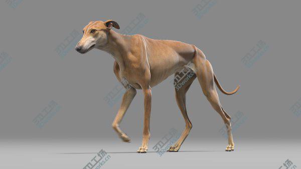 images/goods_img/20210312/3D Greyhound Animated/1.jpg
